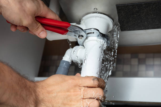 Best Water damage contractors near me  in Cedar Grove, FL