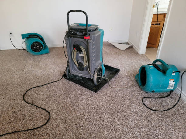 Best Basement water damage restoration  in Cedar Grove, FL
