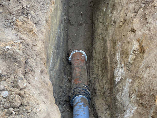Best Sewage cleanup and water damage restoration  in Cedar Grove, FL