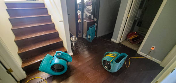 Best Local water damage restoration  in Cedar Grove, FL