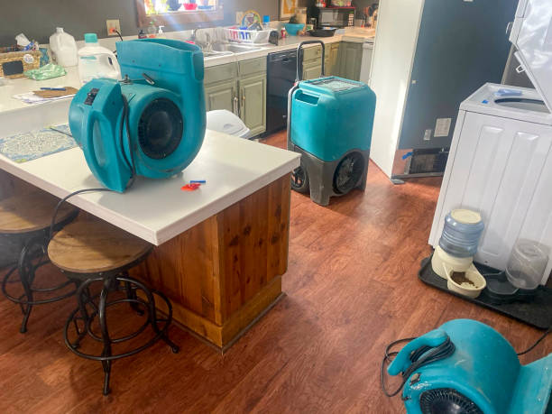 Best Flooded house restoration  in Cedar Grove, FL