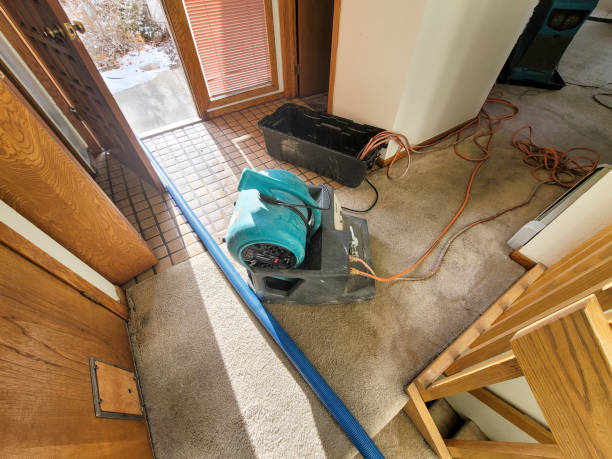 Best Ceiling water damage repair  in Cedar Grove, FL