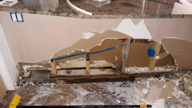 Best Water damage restoration near me  in Cedar Grove, FL