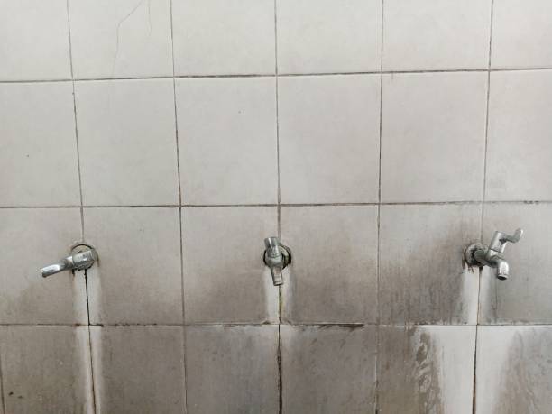 Best Residential water damage restoration  in Cedar Grove, FL