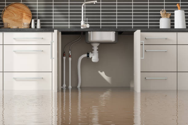 Best Water damage contractors near me  in Cedar Grove, FL