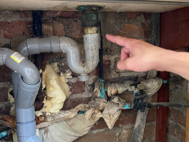 Best Water damage repair service  in Cedar Grove, FL