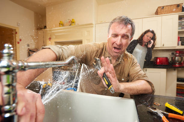 Best Water damage cleanup near me  in Cedar Grove, FL
